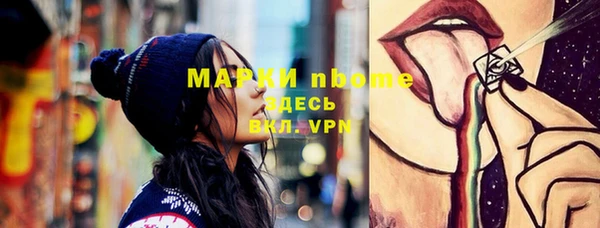 прущие грибы Алзамай