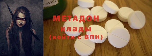 прущие грибы Алзамай