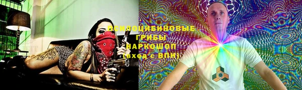 МДПВ Алексин
