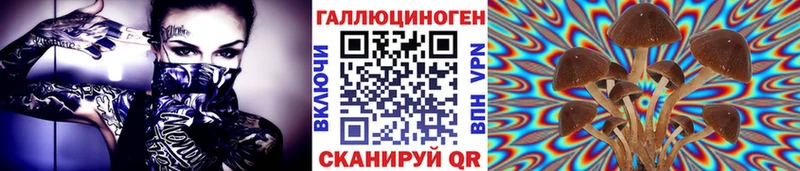 Псилоцибиновые грибы Magic Shrooms  наркошоп  Грайворон 